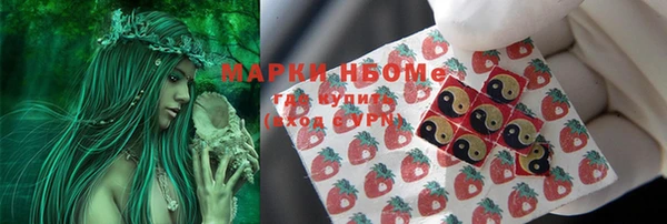 ешки Арсеньев