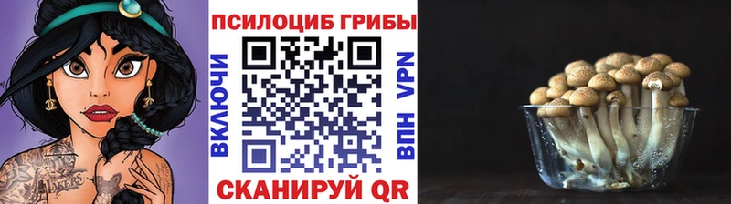 Галлюциногенные грибы Cubensis  Муравленко 