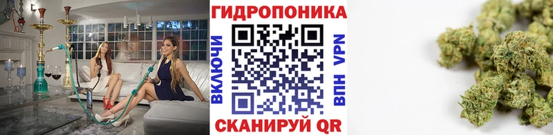 Конопля Amnesia  что такое наркотик  Муравленко 